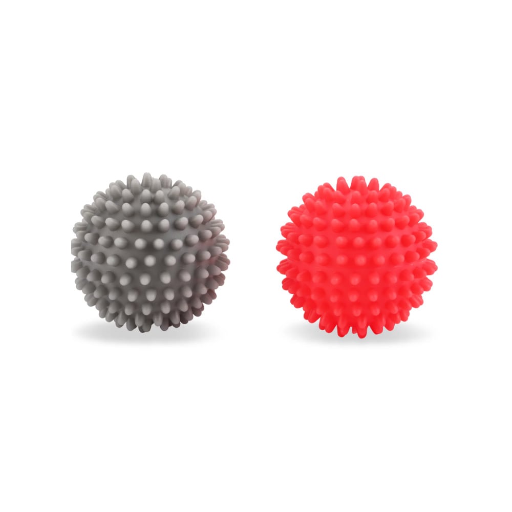 Droogballen 2-pack