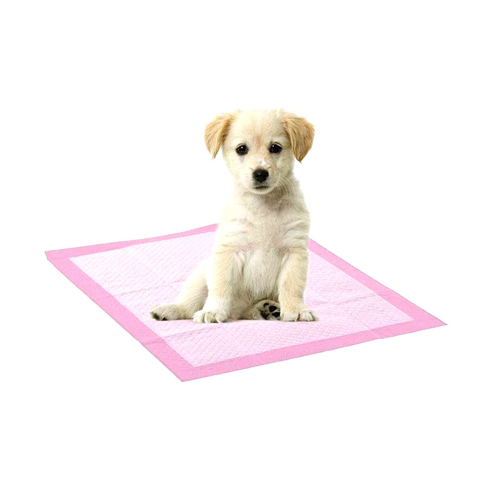 10-Pack Puppy mat 33x45cm